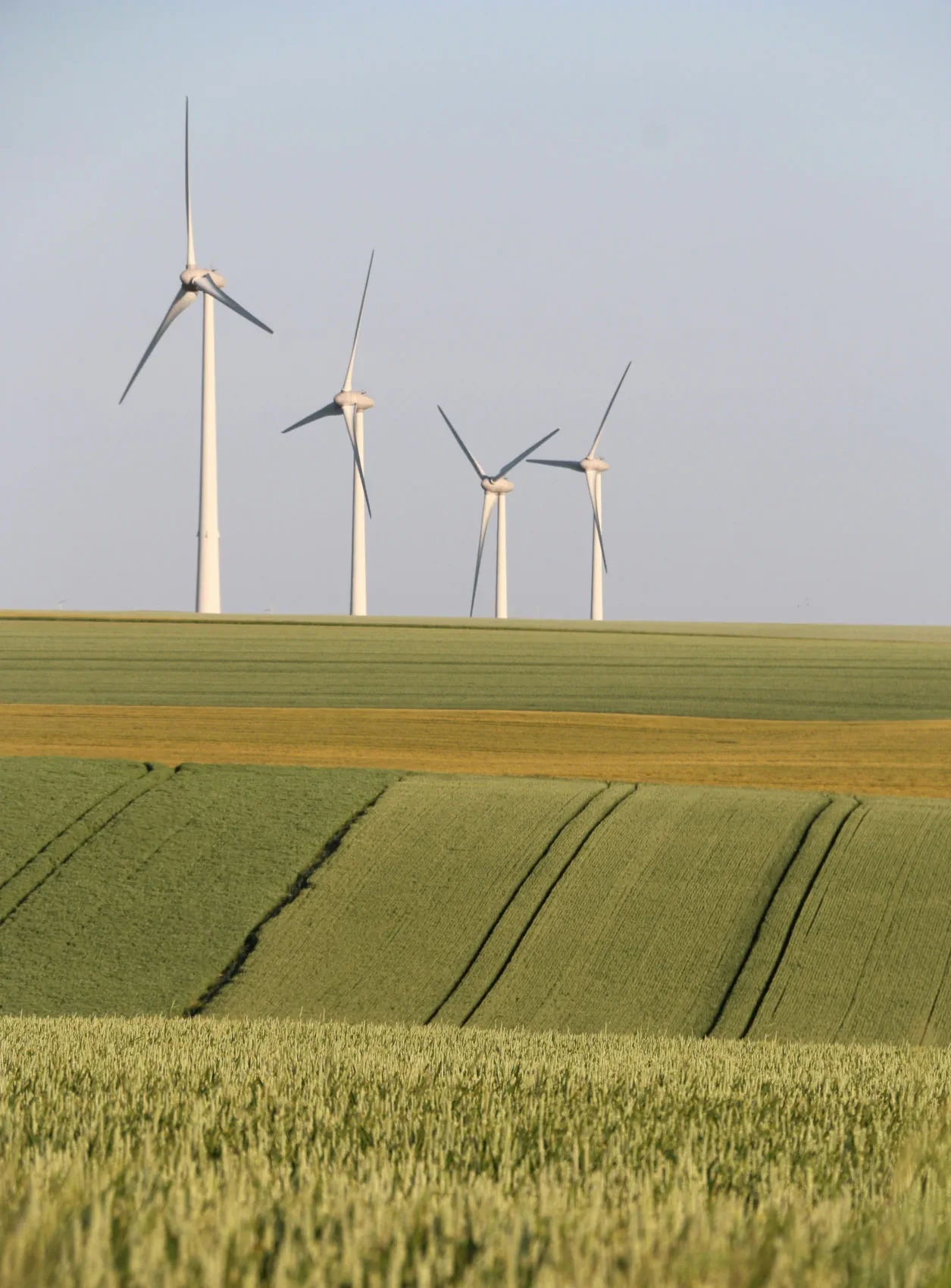 Wind turbines over organic farmland, symbolizing Indagres' partnership with European producers using renewable energy and sustainable farming.