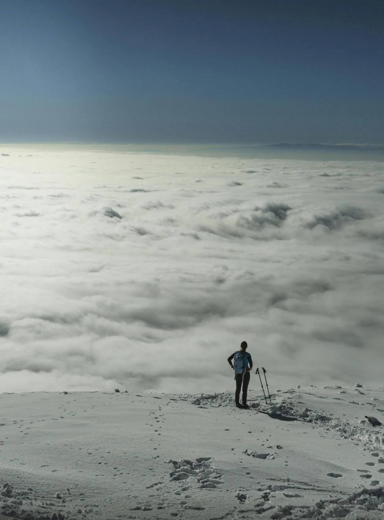 Visionary leader atop a mountain, symbolizing Indagres shaping the future of European gourmet food distribution in the U.S.